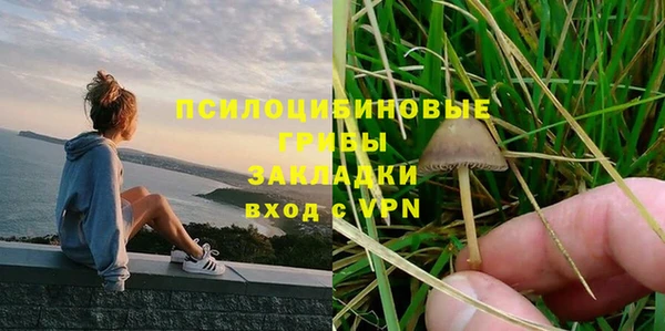 круглые Алексеевка