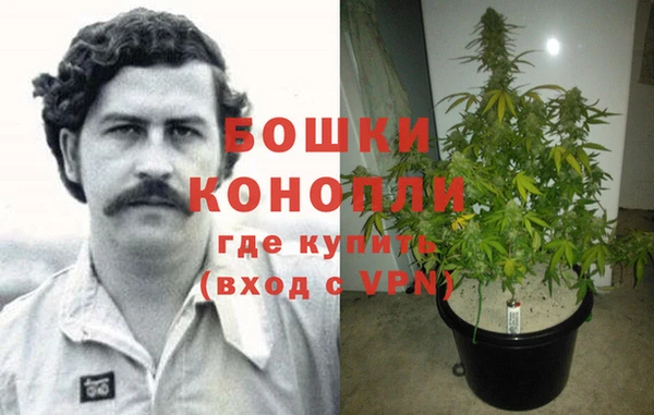 трава Алексин