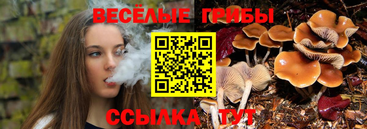 Галлюциногенные грибы прущие грибы Сосновоборск