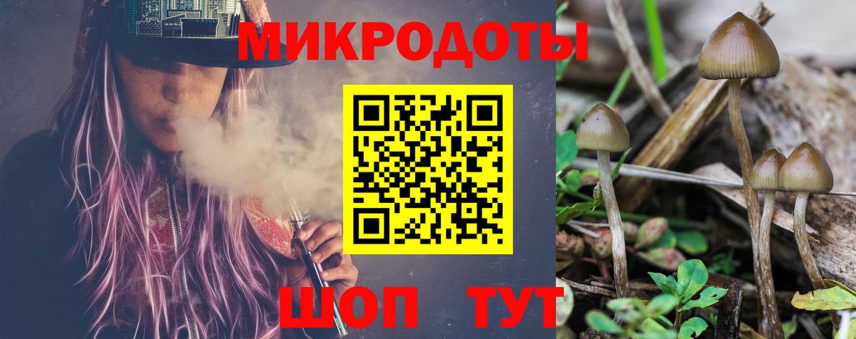 Сосновоборск  Галлюциногенные грибы мухоморы  Вход с VPN  Псилоцибиновые грибы GOLDEN TEACHER 