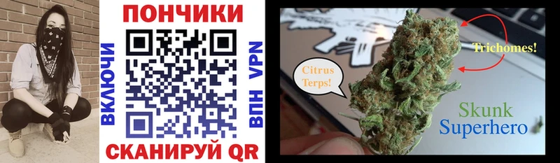 MEGA рабочий сайт Сосновоборск Бошки марихуана Amnesia