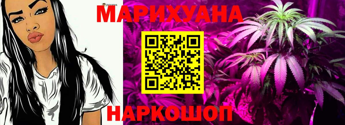 Каннабис гибрид Сосновоборск